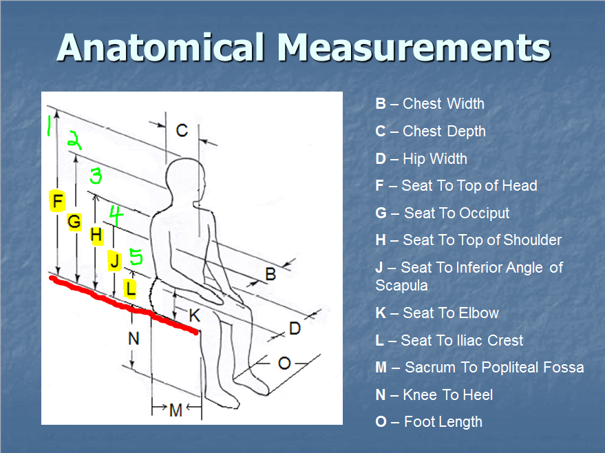 Diagram of anatomical measurement locations relevant to wheelchair seating evaluations 