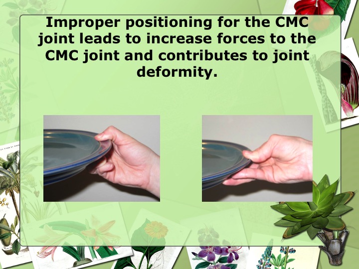 Gardening for Life Occupational Therapy Interventions for Gardeners