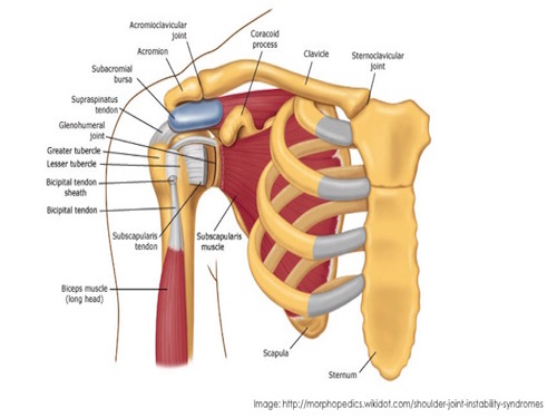 Shoulder Preservation in Spinal Cord Injury