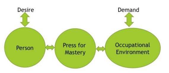 Theory Of Occupational Adaptation: Making Connections Between Theory ...