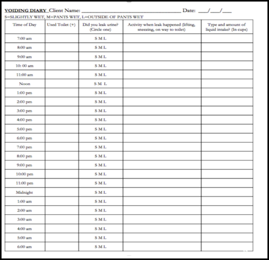 Voiding Diary Template