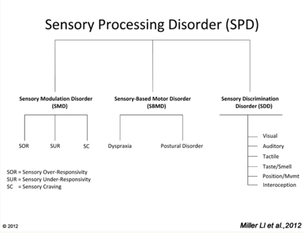 Tree diagram breaking down sensory processing disorders into subtypes 