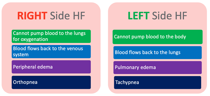 Understanding Right-Sided Heart Failure and its Impact on