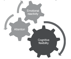 Metacognition components of emotional reactivity, attention, cognitive flexibility