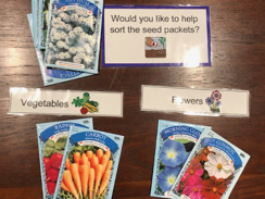 Seed sorting activity