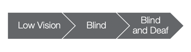 Continuum of visual challenges