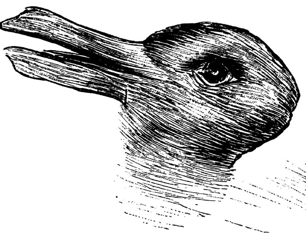 Optical illusion of a duck and rabbit