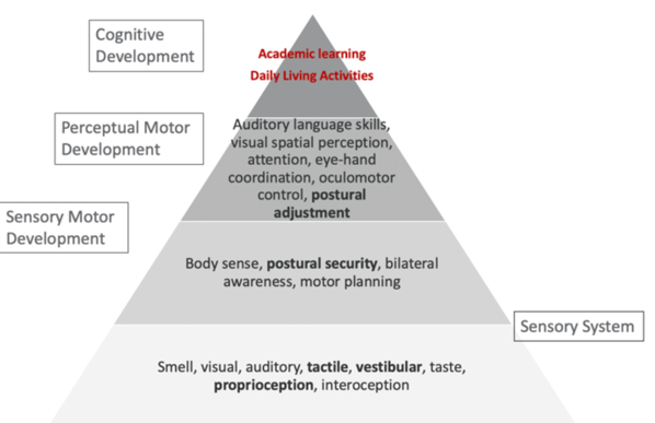 Sensory, motor, and cognitive development in a pyramid graphic