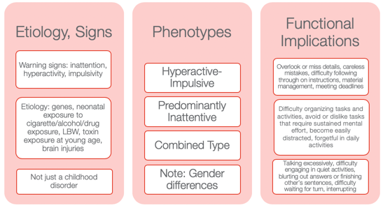 Etiology, signs, phenotypes, and functional implications of ADHD