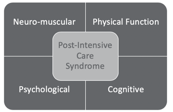 4 components of the Post-Intensive Care Syndrome