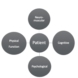The four domains that affect the acute-care patient.