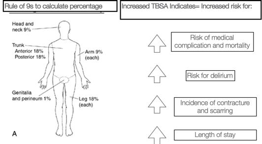 Lund Browder Chart showing burn injury area