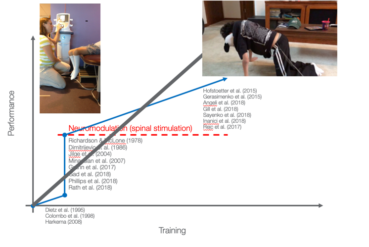 Graphic of performance versus training protocols