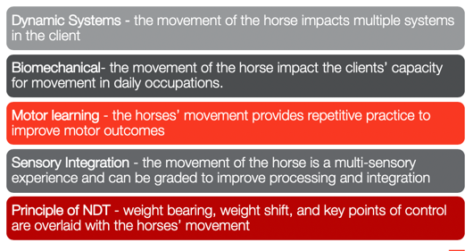 Chart showing different hippotherapy frames of references
