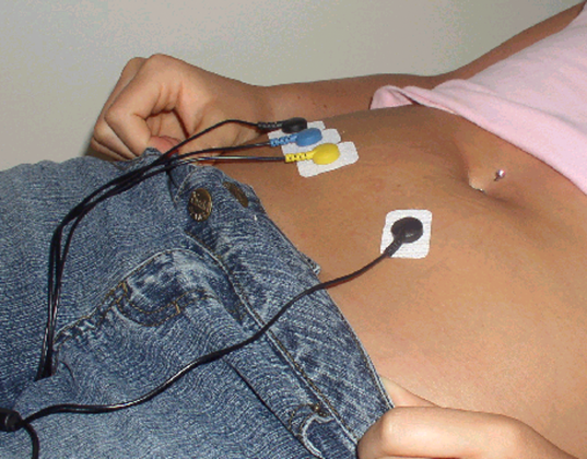 Electrodes on the abdominals and obliques