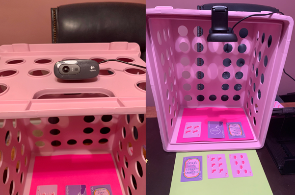Use of a camera on top of the crate for different angles