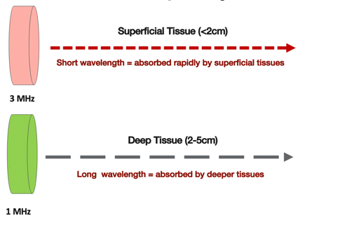 Speed of the ultrasound waves