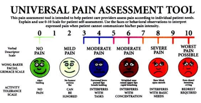Universal Pain Assessment Tool