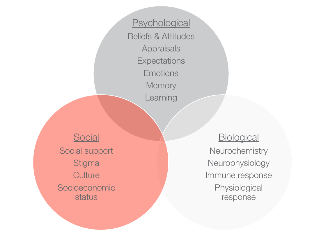 Biopsychosocial approach to pain