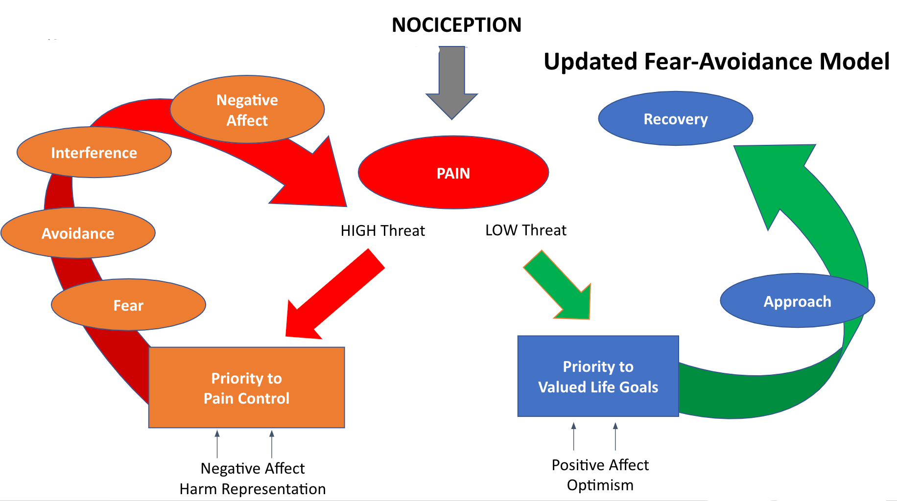 Nocioception or Fear-Avoidance Model