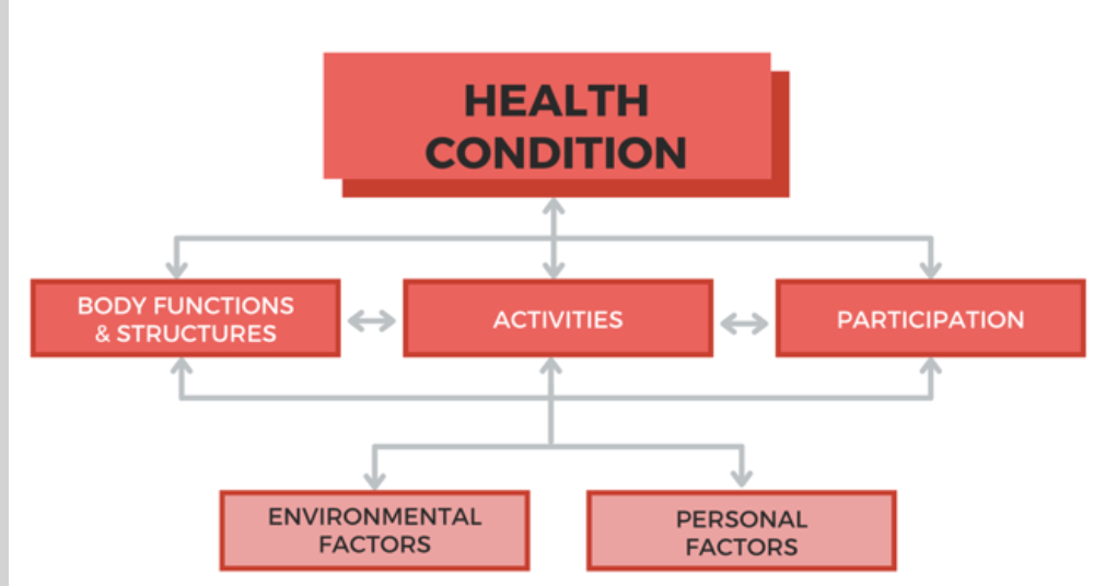 International Classification of Functioning, Disability, & Health from the World Health Organization