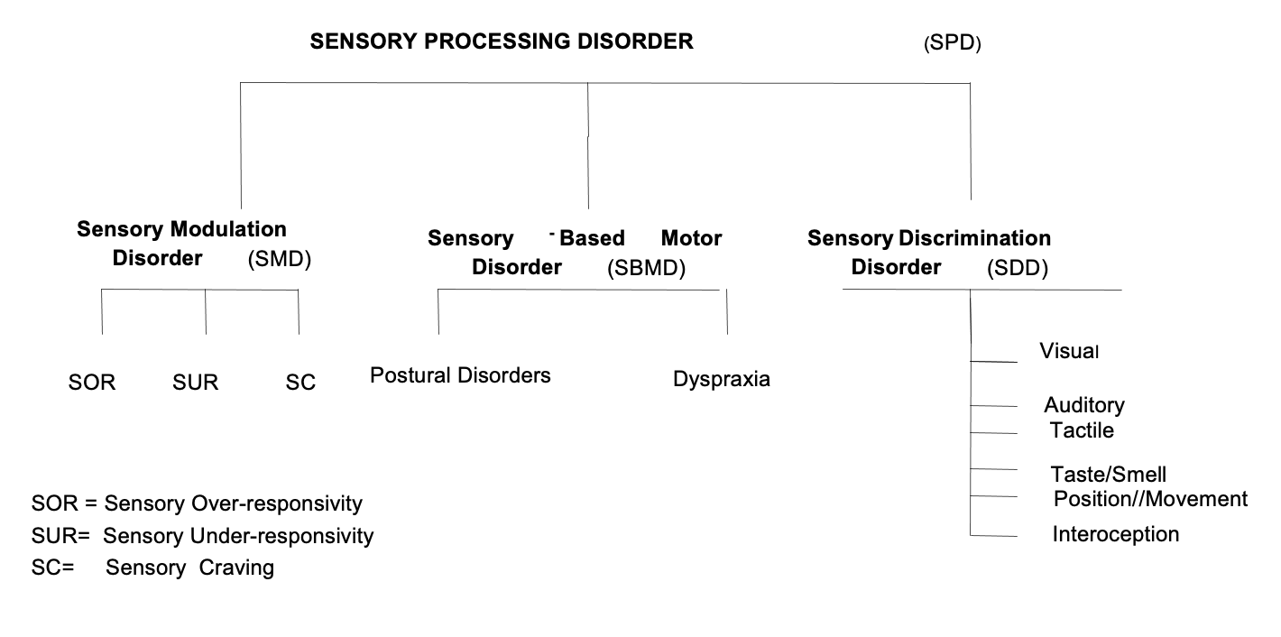 Chart of the sensory processing disorder subtypes