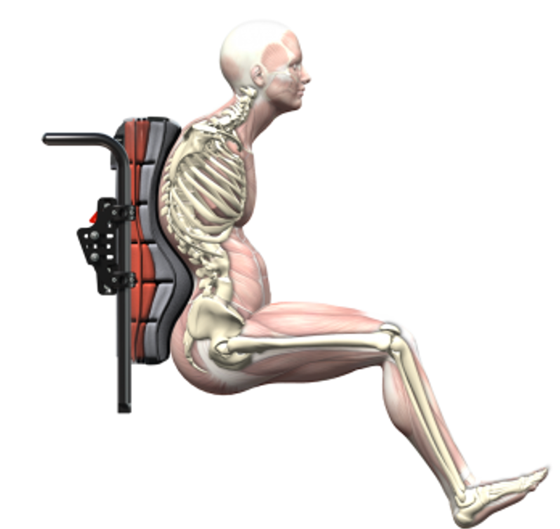 An illustration of a skeletal human figure sitting in a custom molded back