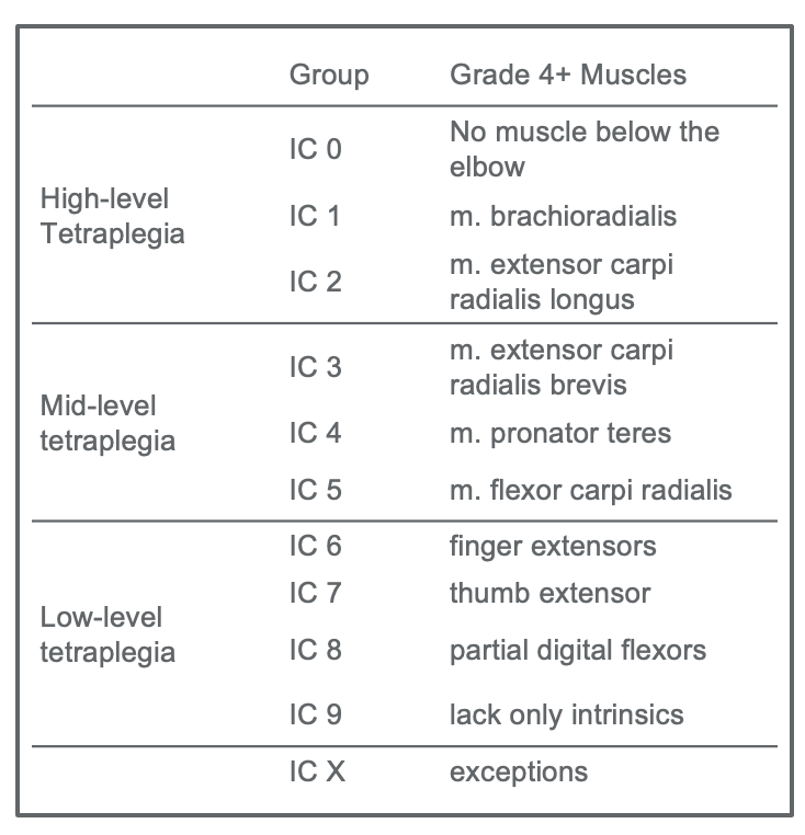 Upper Extremity Reconstructive Surgery for Tetraplegia: The Role of OT