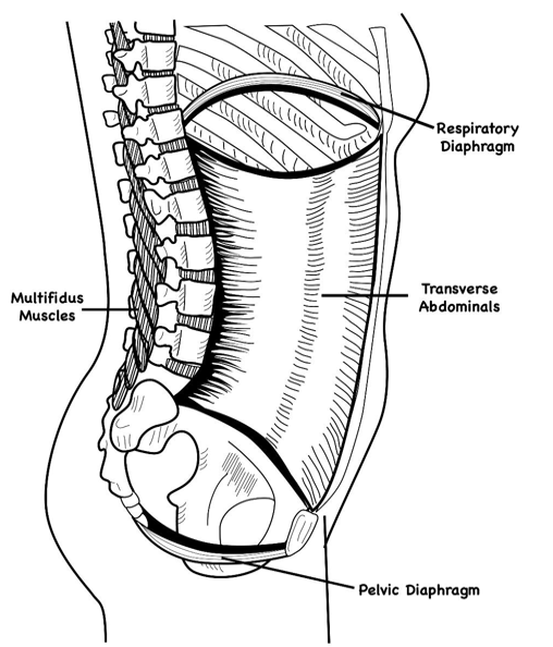 Adult Pelvic Sacral Blocks by Core Products