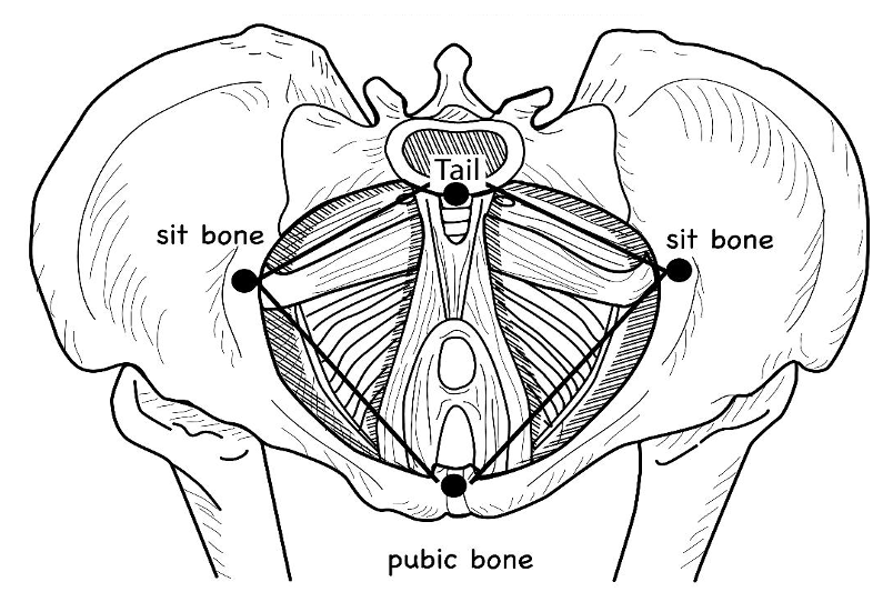 Core Products Pelvic Sacral Block, Set Gray