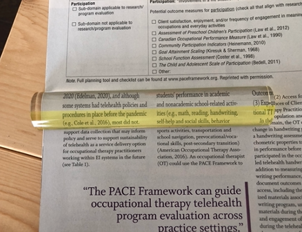 Visual Acuity  Occupational Therapy Assessment Guide