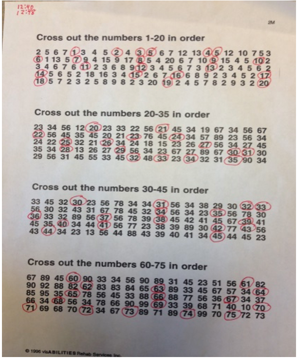 Figure 29