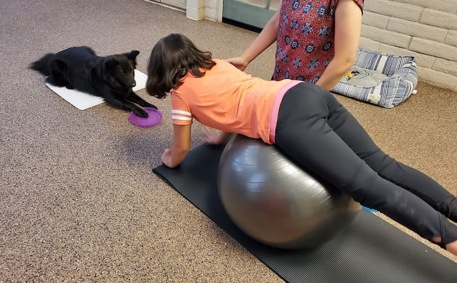 Dog assisted best sale physical therapy