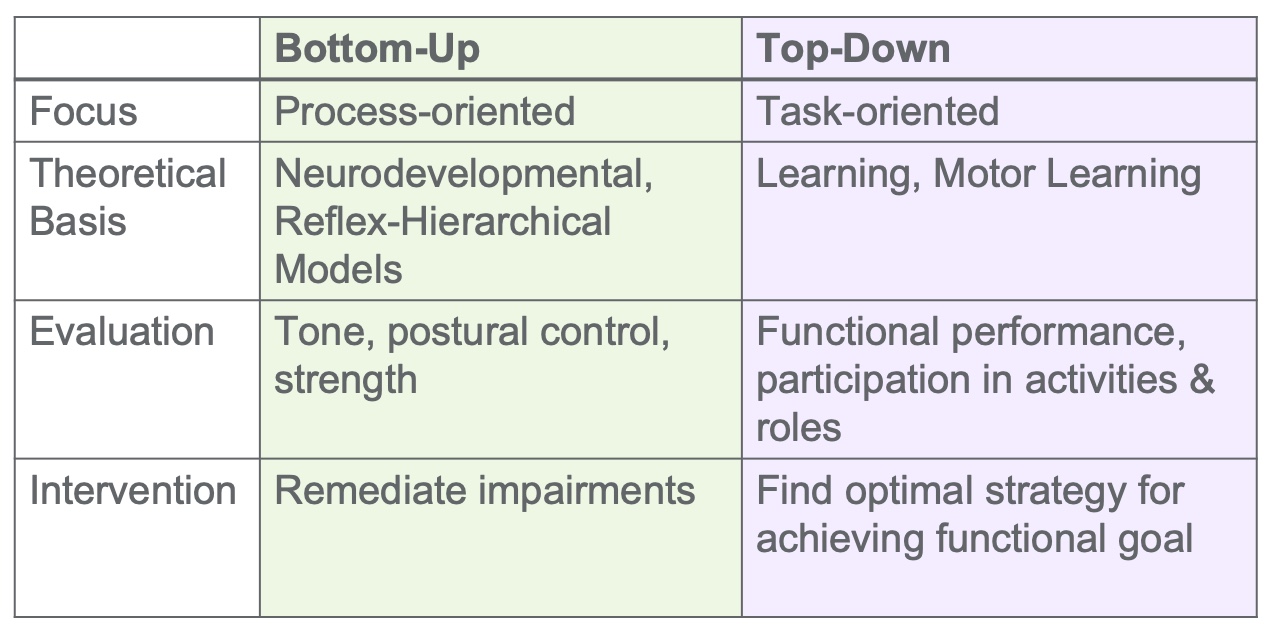 Cerebral Palsy Review: Facilitating Functional Outcomes