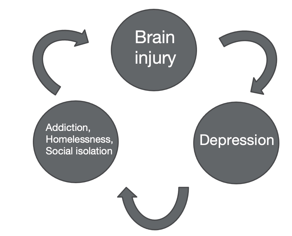 Depression - Queensland Brain Institute - University of Queensland