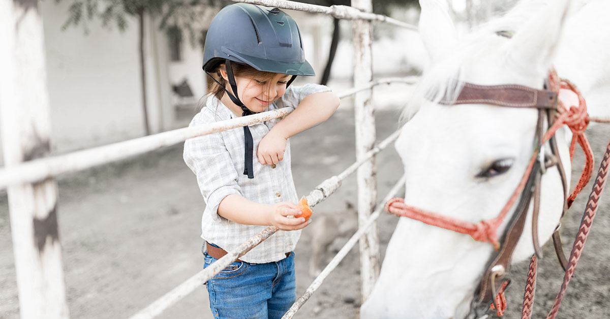 A child standing on a fence feeding a horse and orange slice