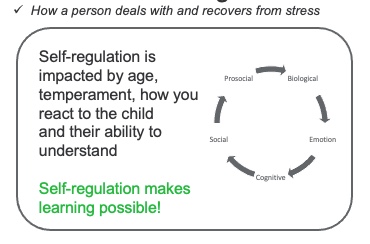 The Incredible 5-Point Scale To Teach Self-Regulation: Review and Tools -  Autism Classroom Resources