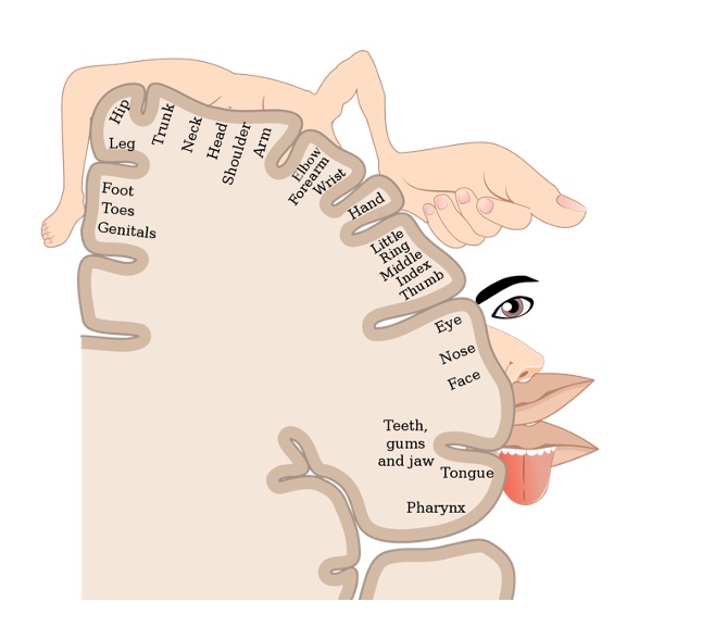 Figure 13