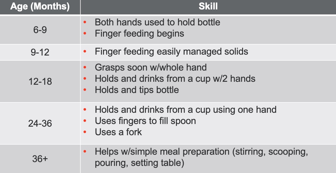 Can Babies Eat Solids Before Teeth? - JLD Therapy