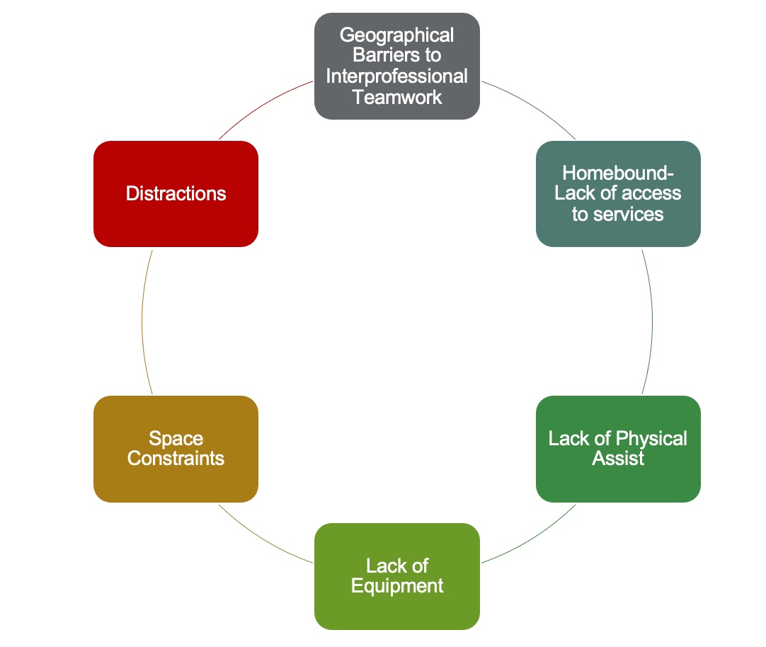 Neuro Rehab Strategies in the Home Setting