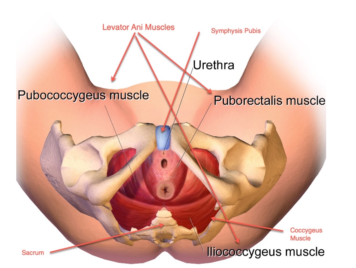 Figure 16