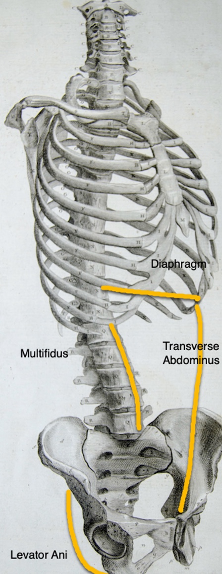 Figure 18